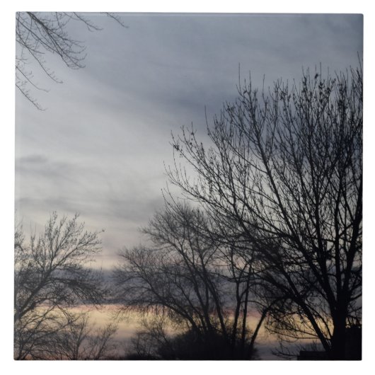 Carreau Whispers of Winter (Devant)