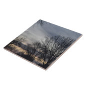 Carreau Whispers of Winter (Côté)