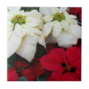 Carreau White and Red Poinsettias
