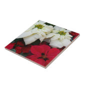 Carreau White and Red Poinsettias (Côté)