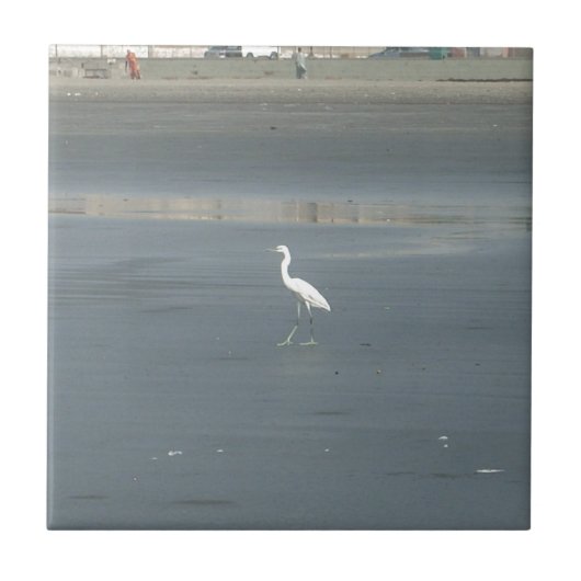 Carreau White Bird on Grey Sand Beach Art Imprimer (Devant)