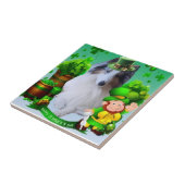 Carreau White factor Merle Headed Rough Collie  (Côté)