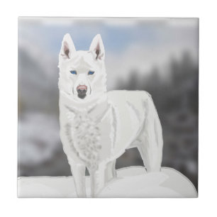 Carreau White Husky