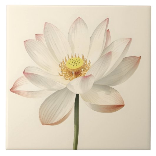 Carreau White Lotus Flower (Devant)