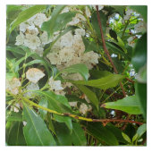 Carreau White Mountain Laurel (Devant)