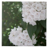 Carreau White Mountain Laurel Star Fleurs en forme (Devant)