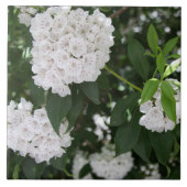 Carreau White Mountain Laurel Star Fleurs en forme (Devant)