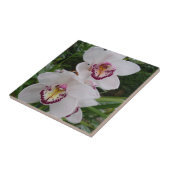 Carreau White Orchids Beautiful Tropical Flowers (Côté)