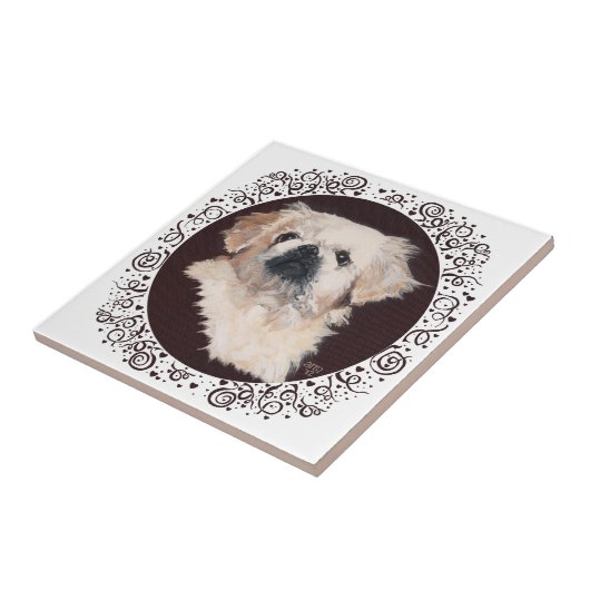 Carreau White Pekingese Head Study (Côté)