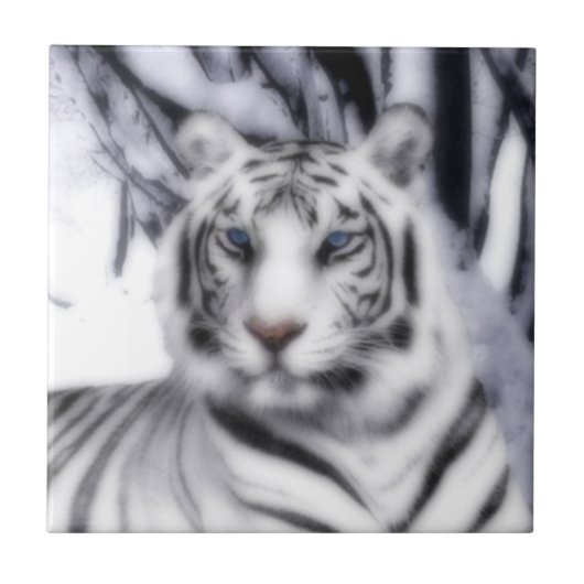 Carreau WhiteTiger (Devant)