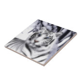 Carreau WhiteTiger (Côté)