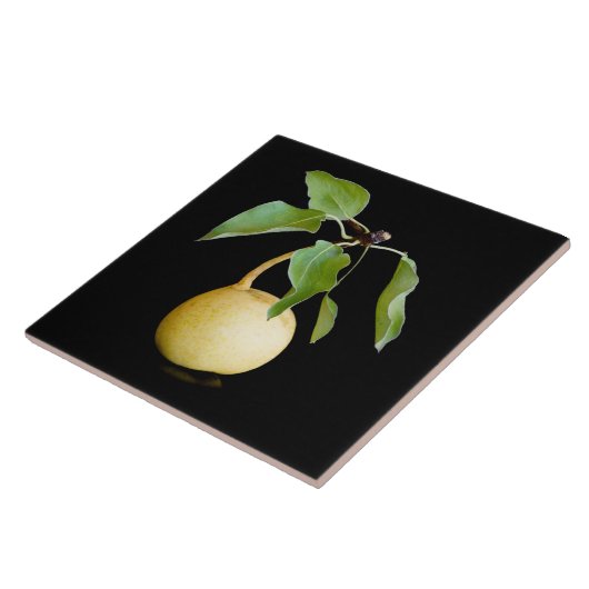 Carreau Wild pear (Côté)