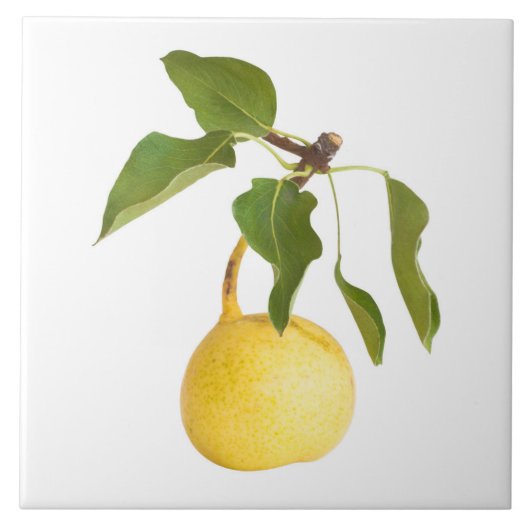 Carreau Wild pear (Devant)