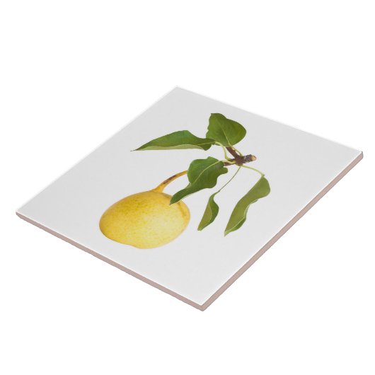 Carreau Wild pear (Côté)