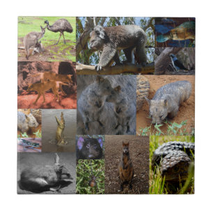 Carreau Wild Wonders : Captivant Australian Photo Collage