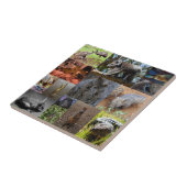 Carreau Wild Wonders : Captivant Australian Photo Collage (Côté)