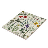 Carreau Wildflowers collage (Côté)