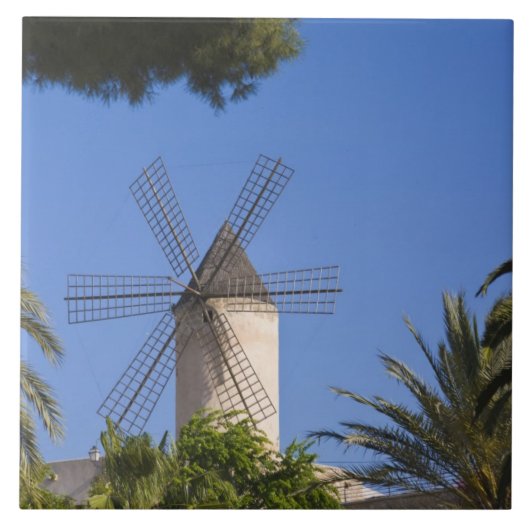 Carreau Windmill, Palma, Majorque, Espagne (Devant)