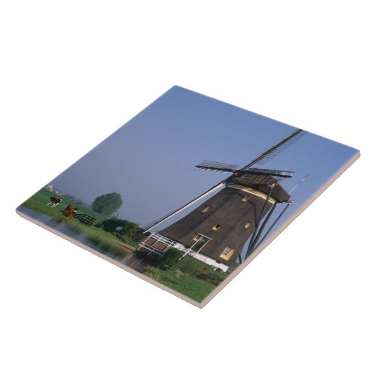 Carreau Windmills, Leidschendam, Pays-Bas (Côté)