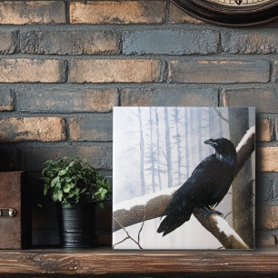 Carreau Winter Raven
