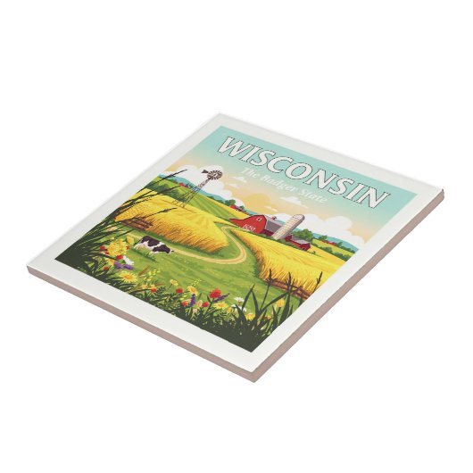 Carreau Wisconsin vintage (Côté)