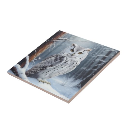 Carreau Wise Owl (Côté)