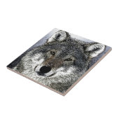 Carreau Wolf Eyes (Côté)