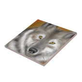 Carreau WolfPractice.png (Côté)