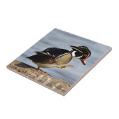 Carreau Wood Duck (Côté)