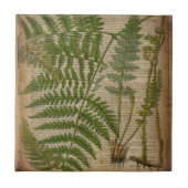 Carreau woodland foliage french botanical (Devant)