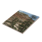 Carreau Worn Rock Walls dans le Parc national de Sion (Côté)