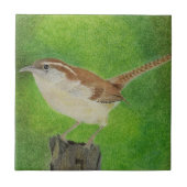 Carreau Wren (Devant)