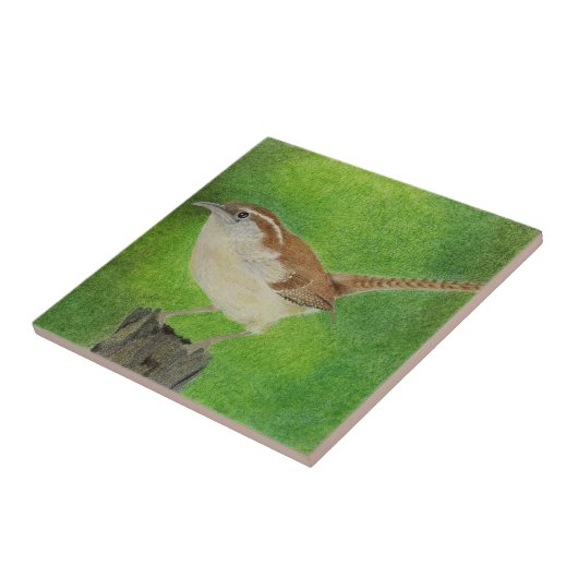 Carreau Wren (Côté)