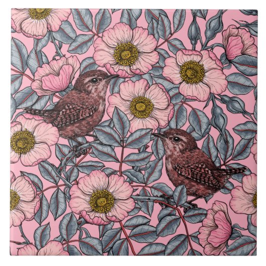 Carreau Wrens en rose (Devant)