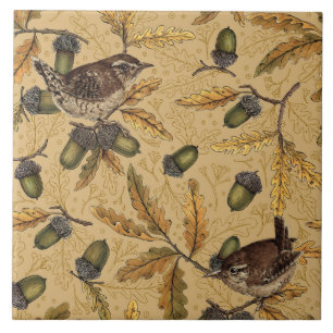 Carreau Wrens et glands sur le miel