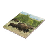 Carreau Wyoming Bison Nature Animal Photographie (Côté)