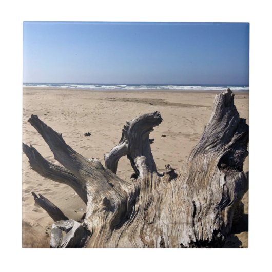 Carreau Yaquina Bay State Recrereation Site, Newport, Oreg (Devant)