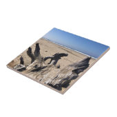 Carreau Yaquina Bay State Recrereation Site, Newport, Oreg (Côté)