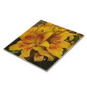 Carreau Yellow Astiatic Lily Blooms Floral (Côté)