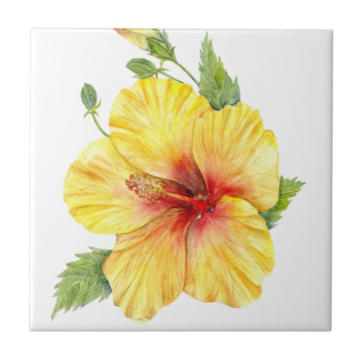 Carreau Yellow Hibiscus Botanical (Devant)
