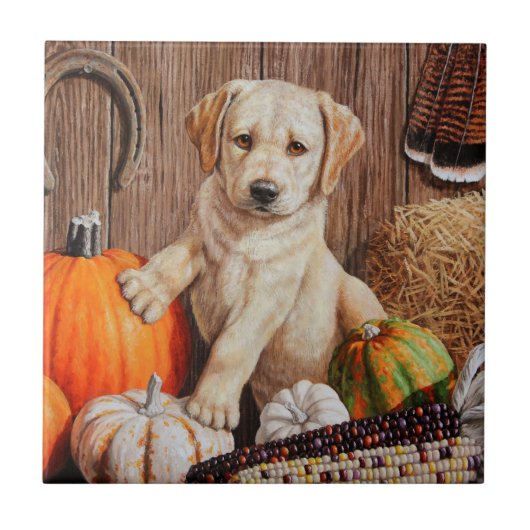 Carreau Yellow Labrador Retriever Chien Chien Chien Citrou (Devant)