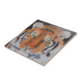 Carreau Yeux de tigre (Côté)