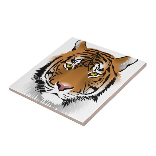 Carreau Yeux de tigre (Côté)