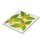 Carreau Ylang Ylang Fleurs Parfumées Exotiques (Côté)