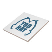 Carreau Yoo Ray (Ouray) Escalade de glace (Côté)