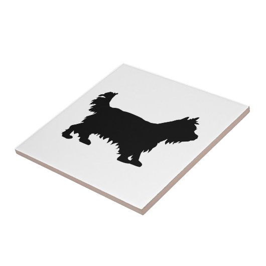 Carreau Yorkshire Terrier (Côté)