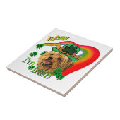 Carreau Yorkshire Terrier St patrick (Côté)
