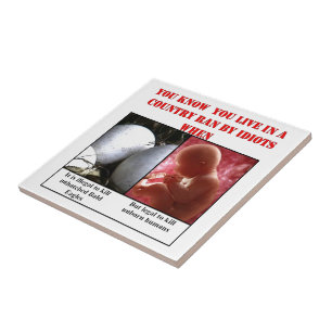 CARREAU YOU KNOW YOU LIVE IN COUNTRY RAN BY IDIOTS