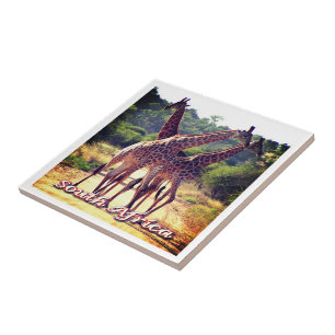 Carreau ZA011 AFRIQUE DU SUD, Giraffes,