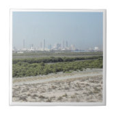 Carreau zAE009 UMM AL-QAYWAY panorama, (Devant)